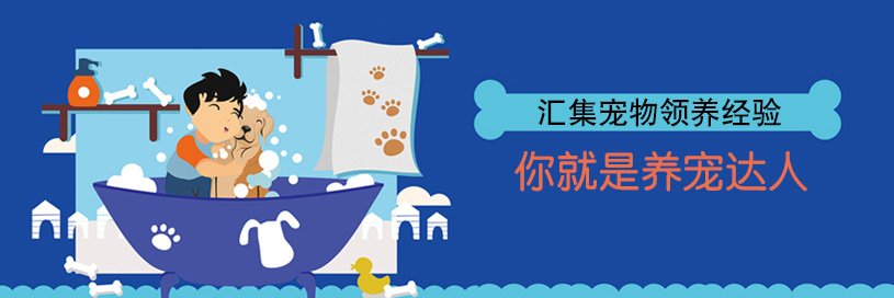 总编/ 一颗流星的海角